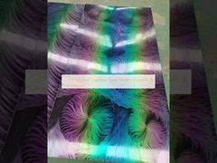 Tôle d'acier inoxydable prélaquée | Durable et décorative