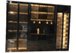 Meubles de salle à manger de luxe Porte vitrée en acier inoxydable moderne avec écran LED