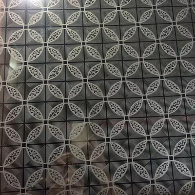 309S a gravé à l'eau-forte l'ascenseur automatique de couleur argentée de feuille d'acier inoxydable décoratif